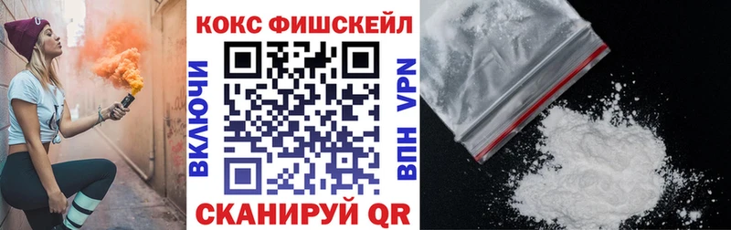 как найти наркотики Иркутск mega COCAIN Fish Scale