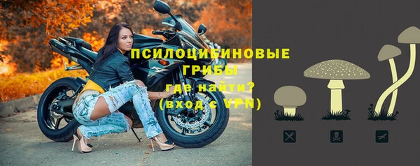 соль ск Волосово