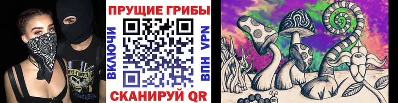 Галлюциногенные грибы Psilocybine cubensis Иркутск